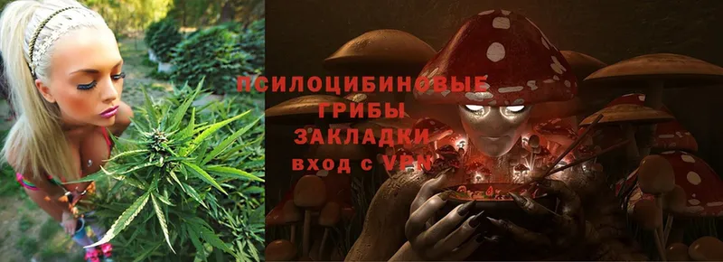 сайты даркнета какой сайт  что такое   Новодвинск  Псилоцибиновые грибы MAGIC MUSHROOMS 