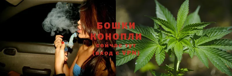 МАРИХУАНА Ganja  магазин продажи   Новодвинск 